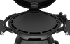 Bigg Bugg 2 Burner BBQ & Trolley - Graphite Enamel