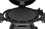 Bigg Bugg 2 Burner BBQ & Trolley - Graphite Enamel
